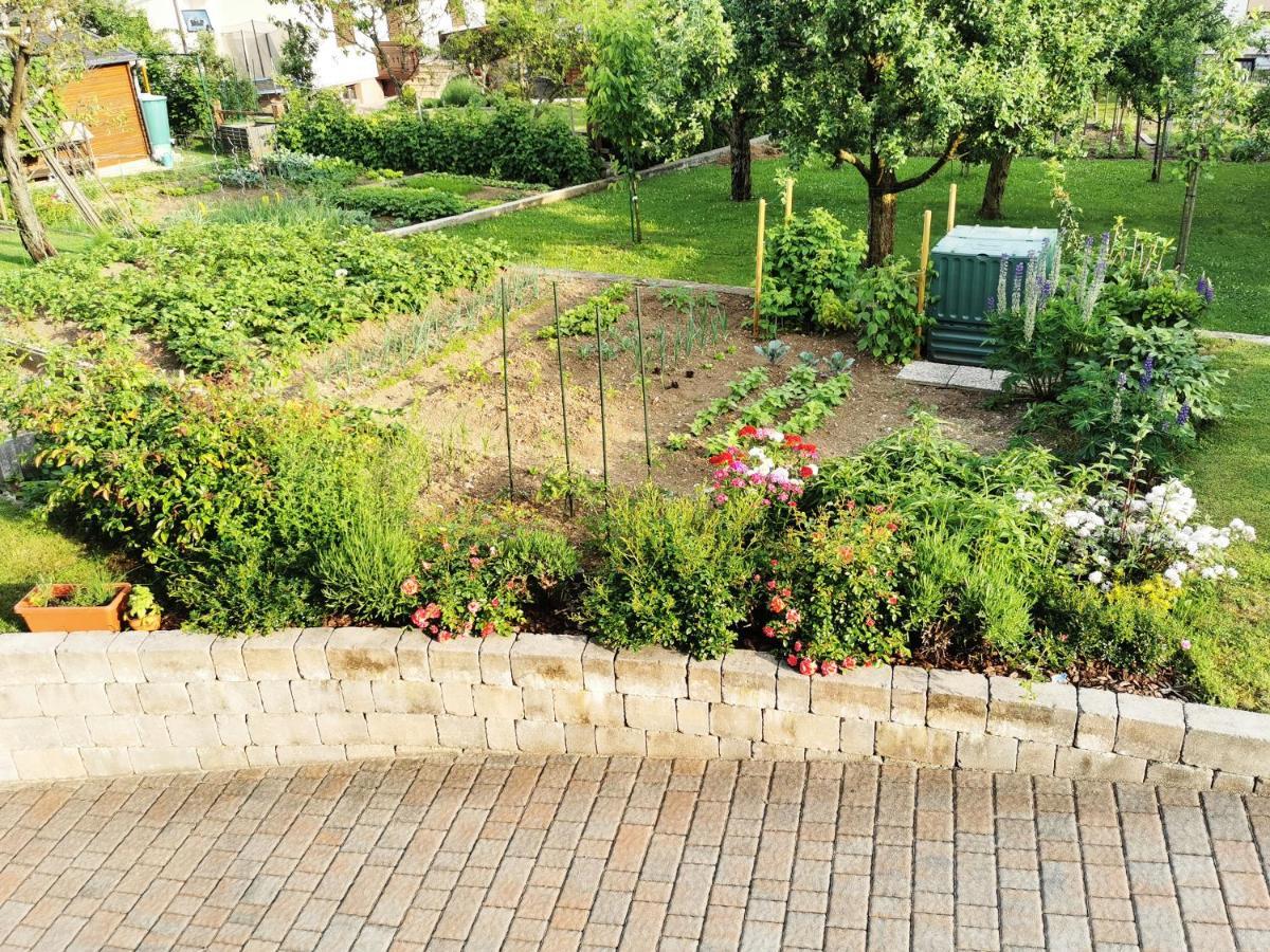 Apartment Vida Μπλεντ Εξωτερικό φωτογραφία